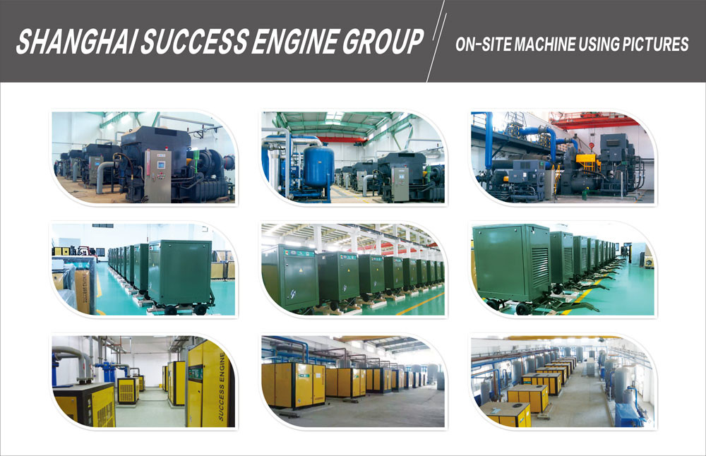 TEFC Air Cooled 10bar 3 Phase Oil Free Screw Compressor