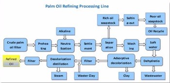 Palm Oil Processing Mill Automatic Palm Kernel Expeller Machine for Bunch Threshing at 48m*12M*15M 30TPD
