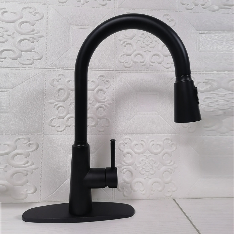 Retractable Sprayer Smart Kitchen Faucet Gooseneck Spout IPX5 2077H-SS