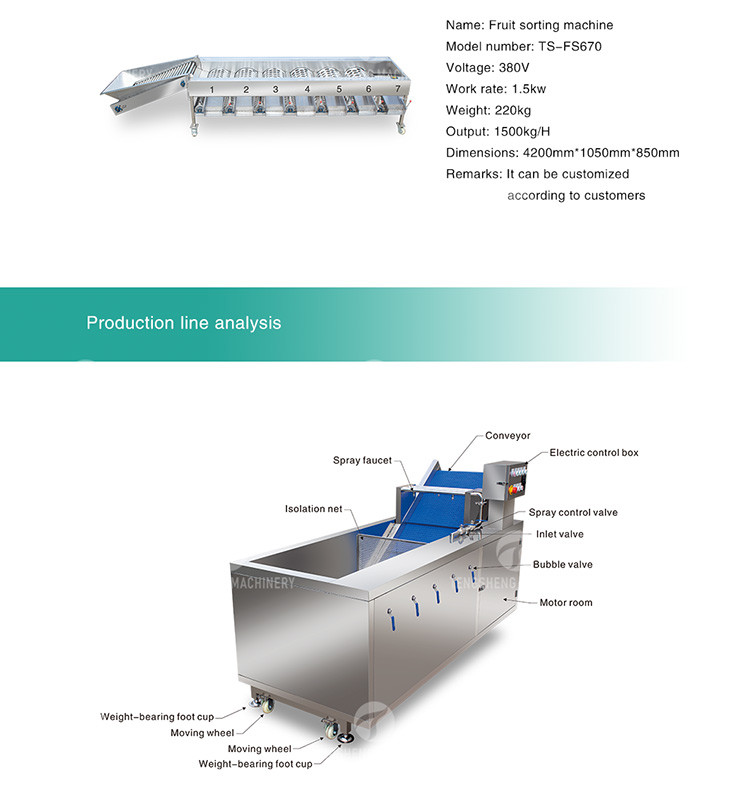 Tengsheng High Voltage Spraying Fruit And Vegetable Processing Line Industrial residual degradation