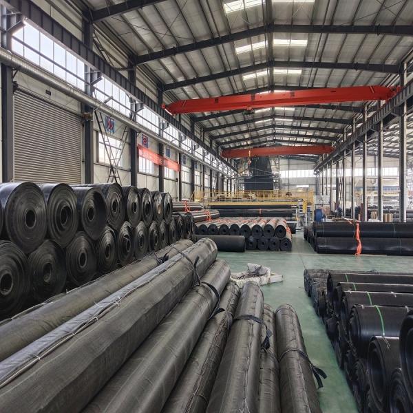 Green 0.3mm 0.5mm 0.75mm 1.0mm HDPE Geomembrane for Direct Supply Aquaculture