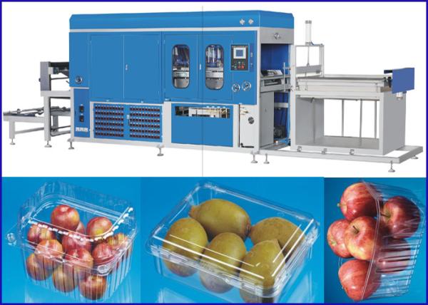 Plastic sheet Vacuum Thermoforming Machine For Super market Fruit and Vege