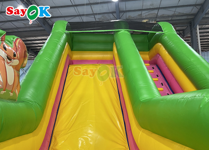 Commercial Grade Inflatable Water Slide Custom Rainbow Inflatable Slide