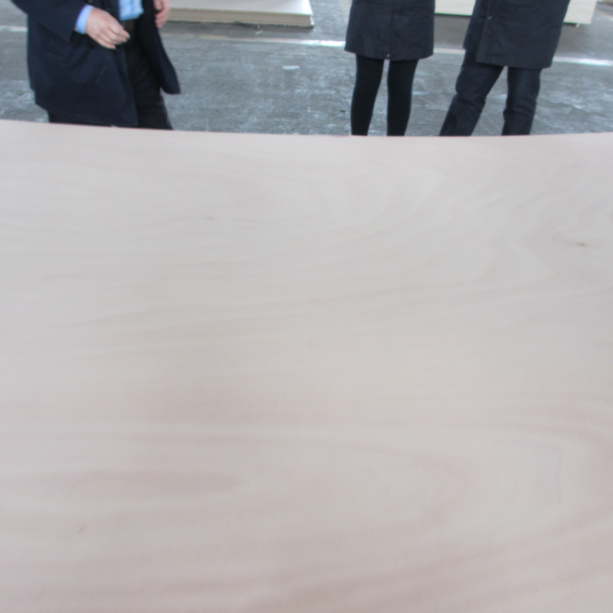BS1088 Llyods Marine Okoume Plywood
