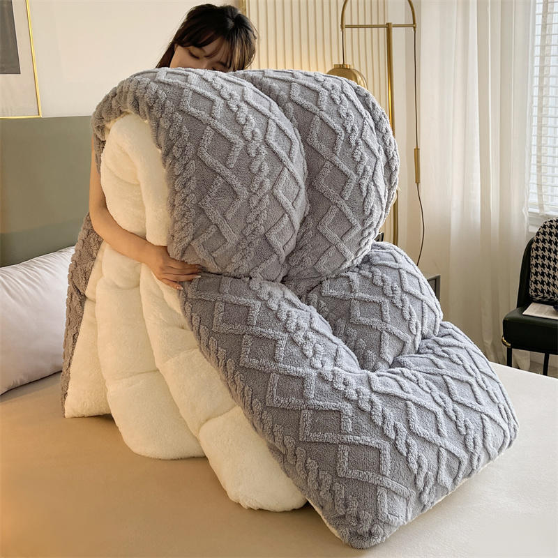 All-Season Home Textile Duvet Quilt Thickened Warm Taffeta Winter Quilt with Comforter