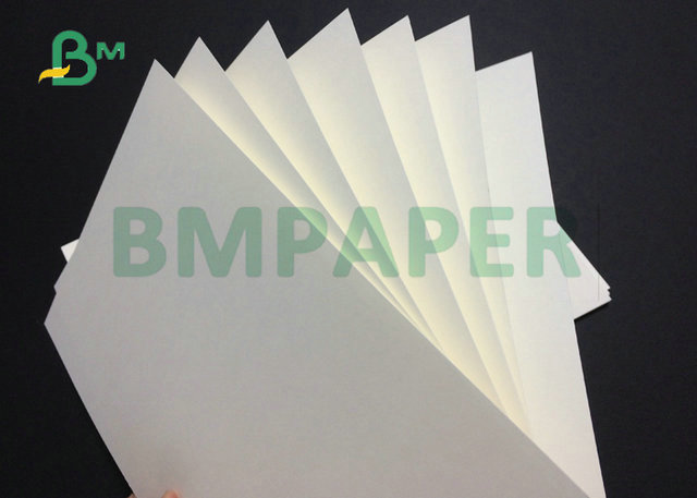 260gsm 280gsm PE Coated White Laminated Cardboard For Normal Paper Cups 886mm 747mm 
