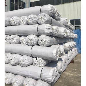 Road Construction Composite Geogrids Uniaxial Plastic Geogrid for Highway