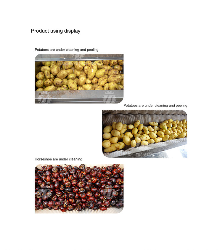 1500KG/H Automatic ginger cleaning peeling machine sweet potato peeling cleaning peeling taro cleaning machine