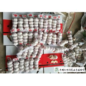 Wholesale Fresh Organic Garlic , New Crop Fresh White Garlic SGS Certification