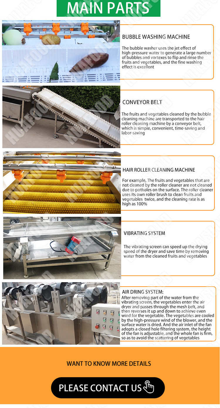 Multifunction Vegetable Cleaning Machine Fruit And Vegetable Processing Machine