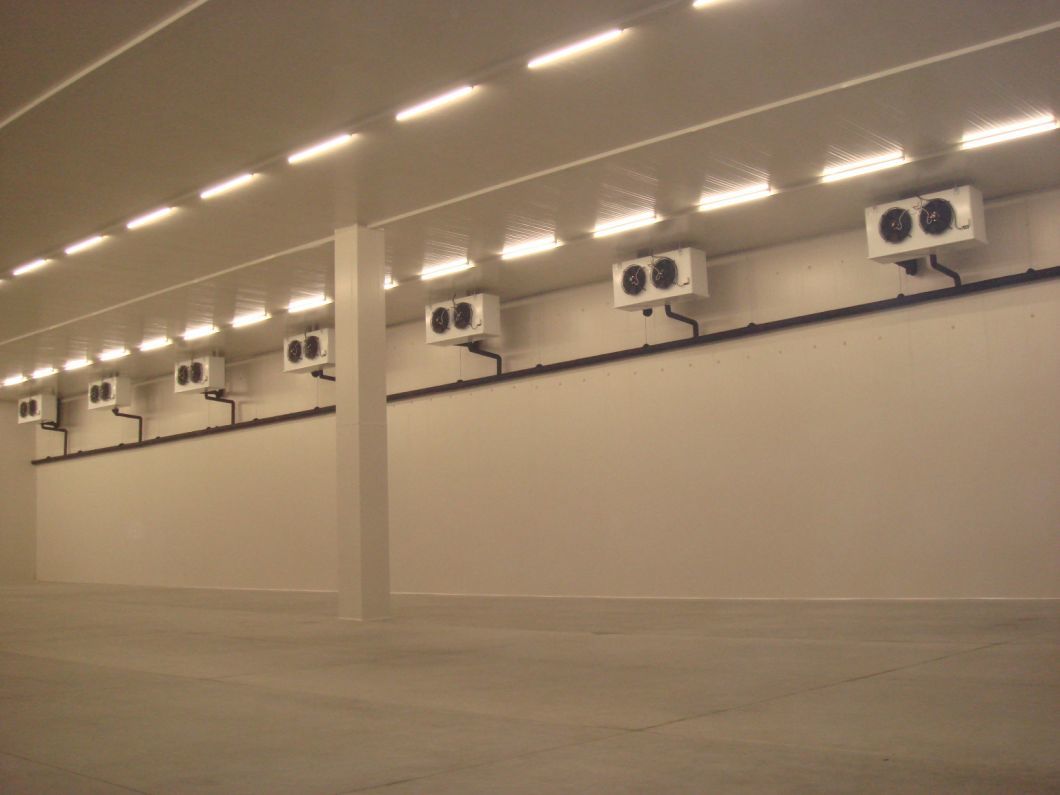 China Factory Flower Storage Cold Room Panel with Cam Lock Hinged Sliding Door with Low Price