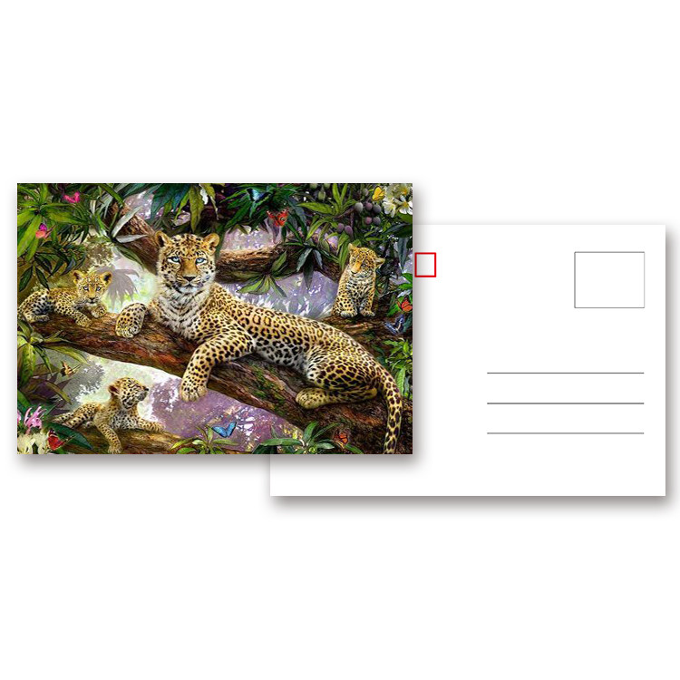 Lifelike Animal Dinosaur 3D Lenticular Postcard 12x17cm Customized Theme Pictures