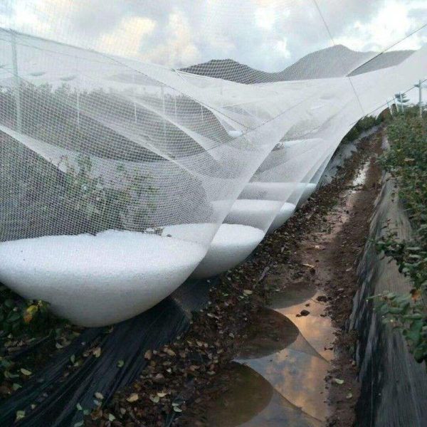 Anti Hail Net Agriculture Mesh HDPE Apple Tree Garden Hail Proof Netting