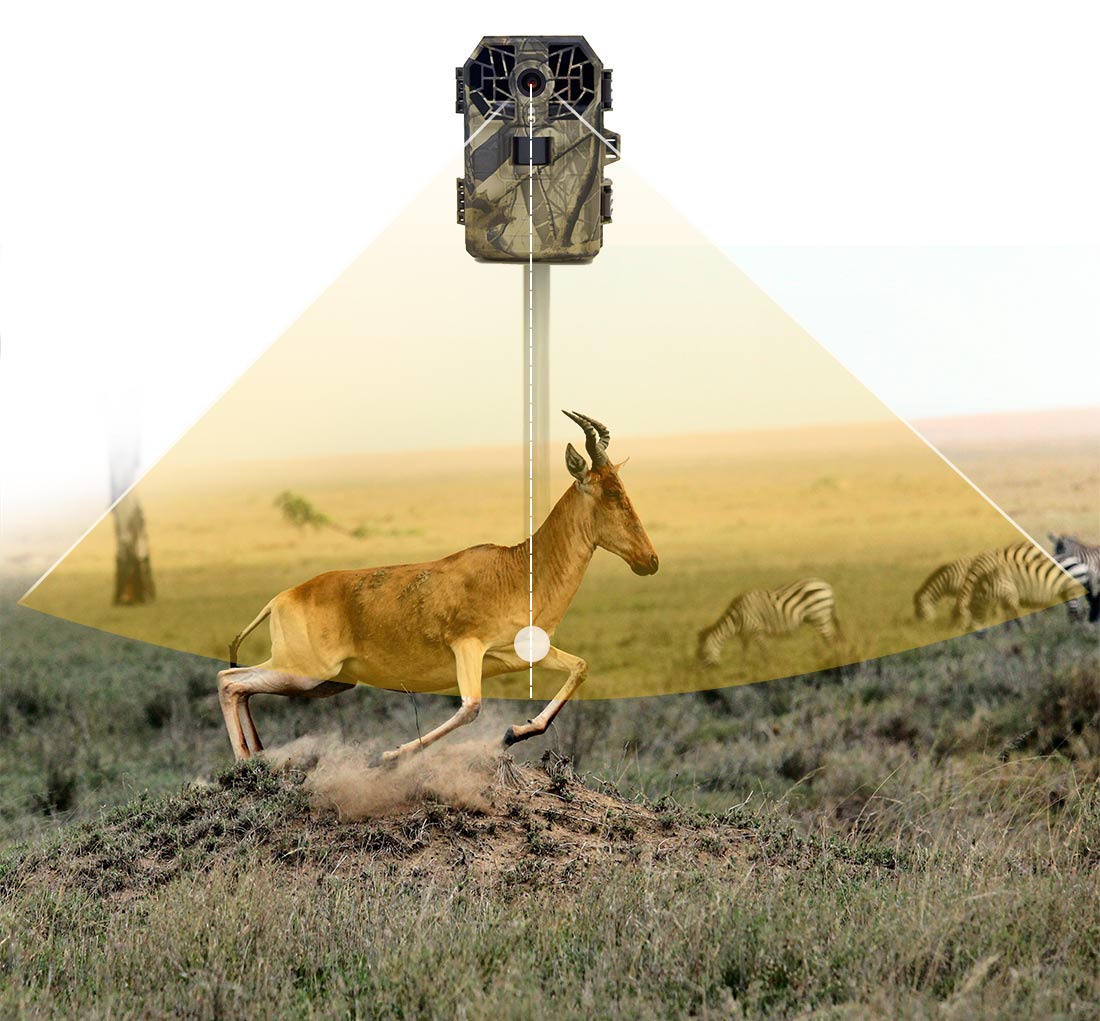IP66 Waterproof 16MP 1080P FHD Trail Cam Time Lapse Trail Camera