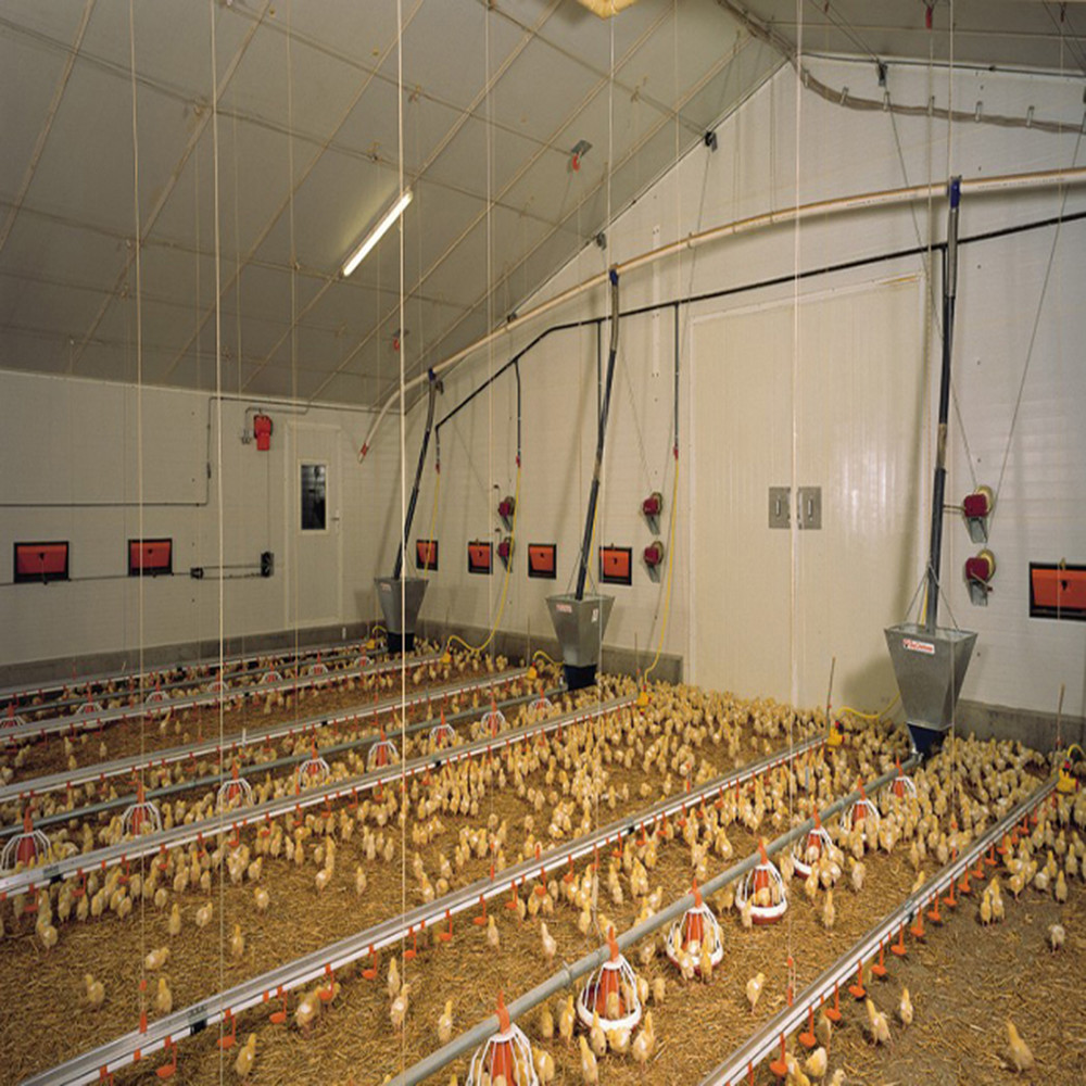 Automated Ventilation Steel Frame Chicken Coop Management Poultry House