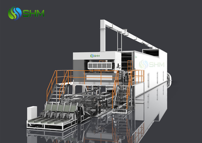 Molded Fiber Fruit Apple Tray Machine Full Automatic Production Line