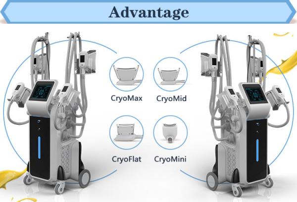 Weight Loss Double Cryotherapy Fat Freeze Pdt Cryoshape Fat Freezing Machine