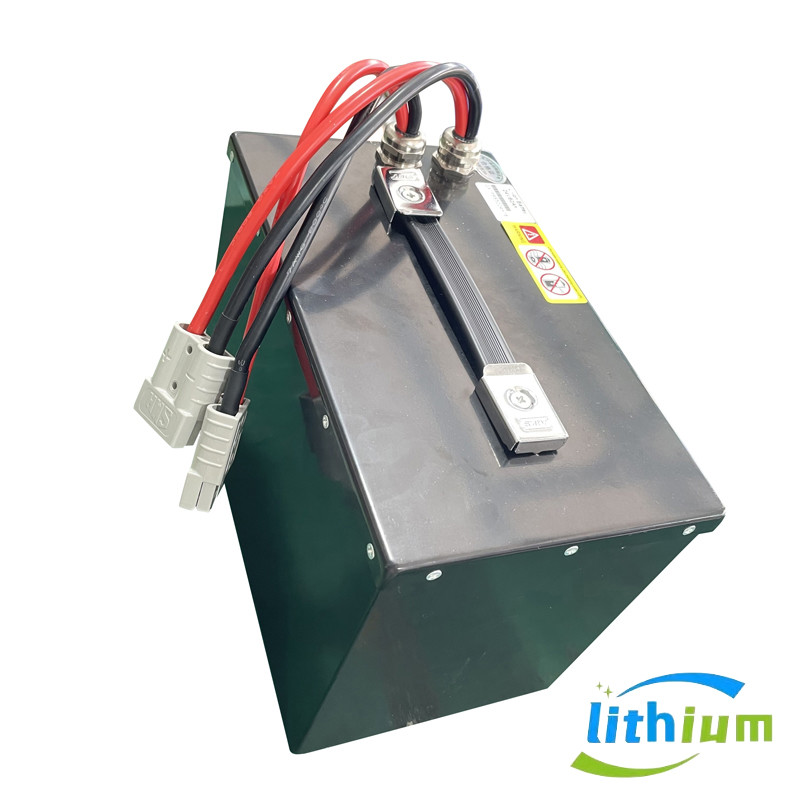 LiFePO4 Lithium Battery With BMS Battery Managemenr System 24V 60ah