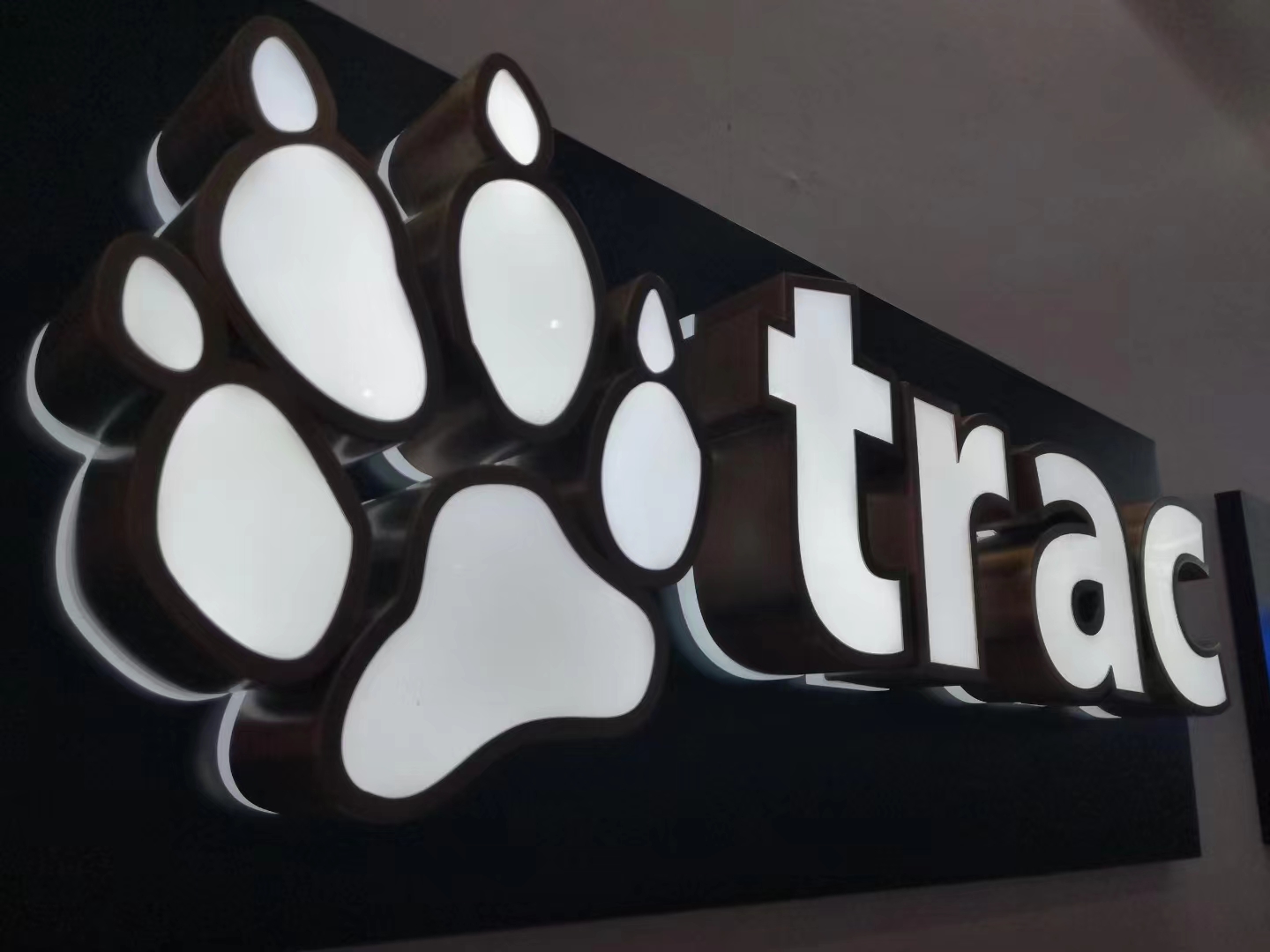 Acrylic Advertising 3D Led Plastic Luminous Characters for Frontlit Word Logo Sign