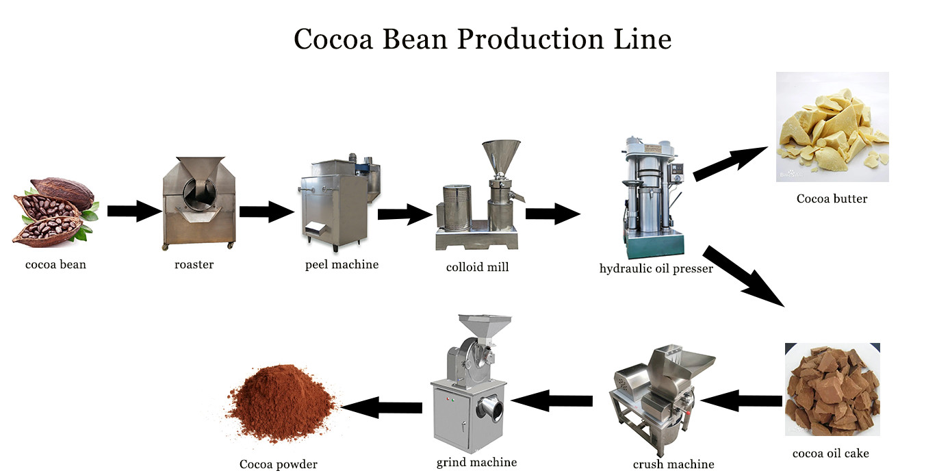 Automatic Lewin Hydraulic Chocolate Cocoa Bean Butter Machine Cocoa Powder Machine