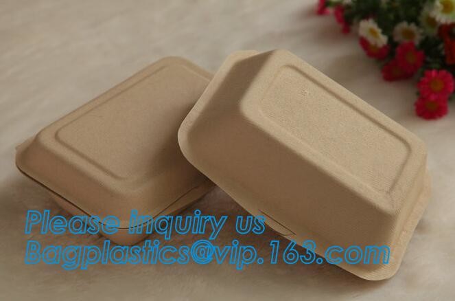 Meal Prep Containers Free Sample Bento Lunch Box Biodegradable Food Container Plastic Wheat Straw Lunch Box bagplastics