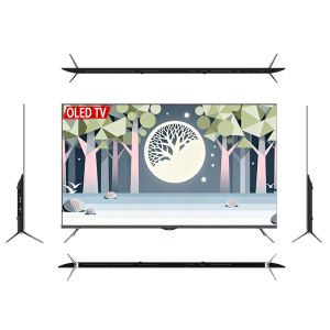  55 Inch 4K Smart Google OLED TV With HDR 60Hz Refresh Rate Google Android TV Platform WIFI Interface Hotel Television Manufactures