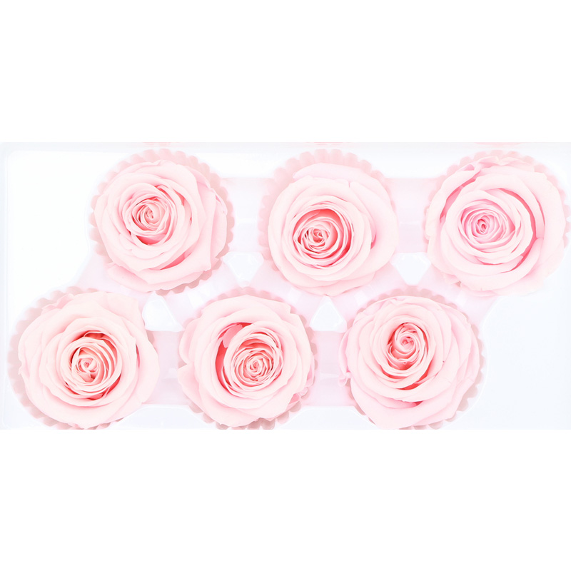 Home Decoration Preserved Rose Heads For Arrangements And Decorations
