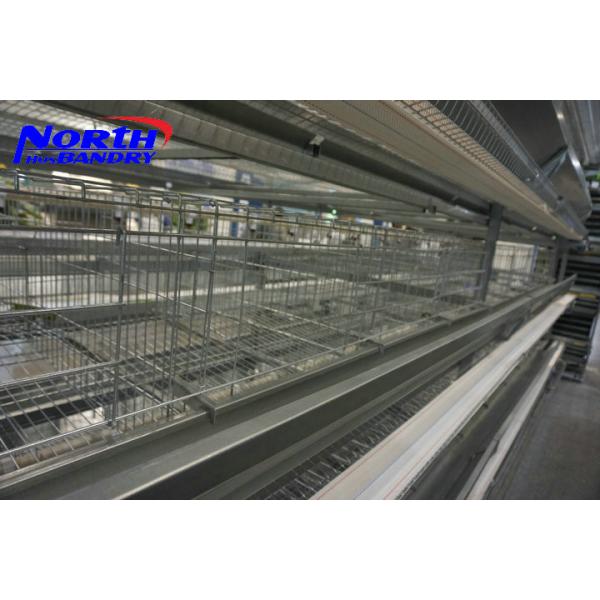 Quality Popular Supplier 4-tier hot-dipped design poultry layer chicken cages in Cameroon for sale