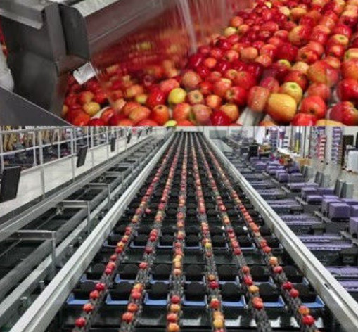 China Fruit Juice Concentrate Machine Apple Juice Complete Processing Line on sale China Fruit Juice Concentrate Machine Apple Juice Complete Processing Line on sale