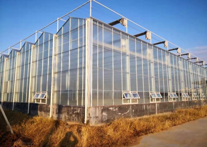 12m Wide Span 6mm 8mm 10mm 4mm 3mm Polycarbonate Sheet Greenhouse Hollow With Shading System
