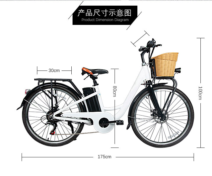 26 Inch 36V 250W Rear Hub Electric Bike With Front Disc Rear Disc Brake