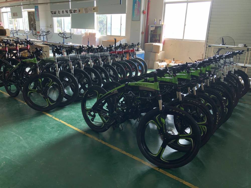Small Lightweight Fold Up Electric Bike Lunar Shape 36v 250w 9.6ah RICH BIT Top-880