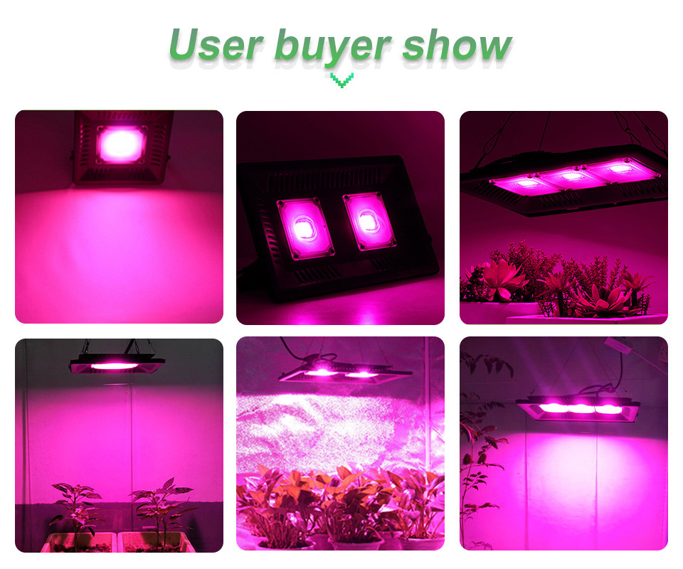 Phytolamp Light Bar Module 50W IP65 Plant Grow Light Voltage 240V