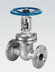 Standard Stainless Steel CF8 Flange Gate Valve with Screw Connection Non