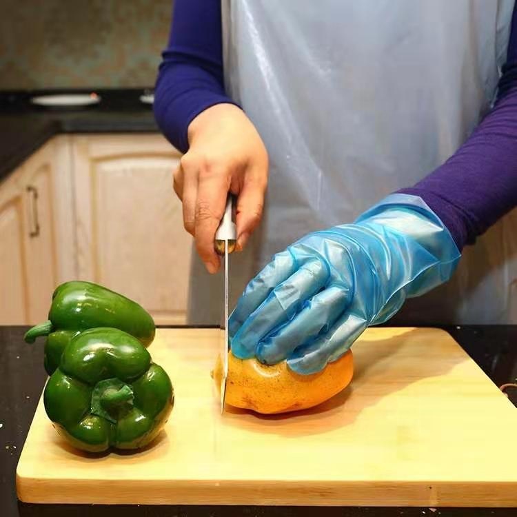 White Blue PU Sushi PE TPE Disposable Vinyl Gloves for Food Handling and Preparation