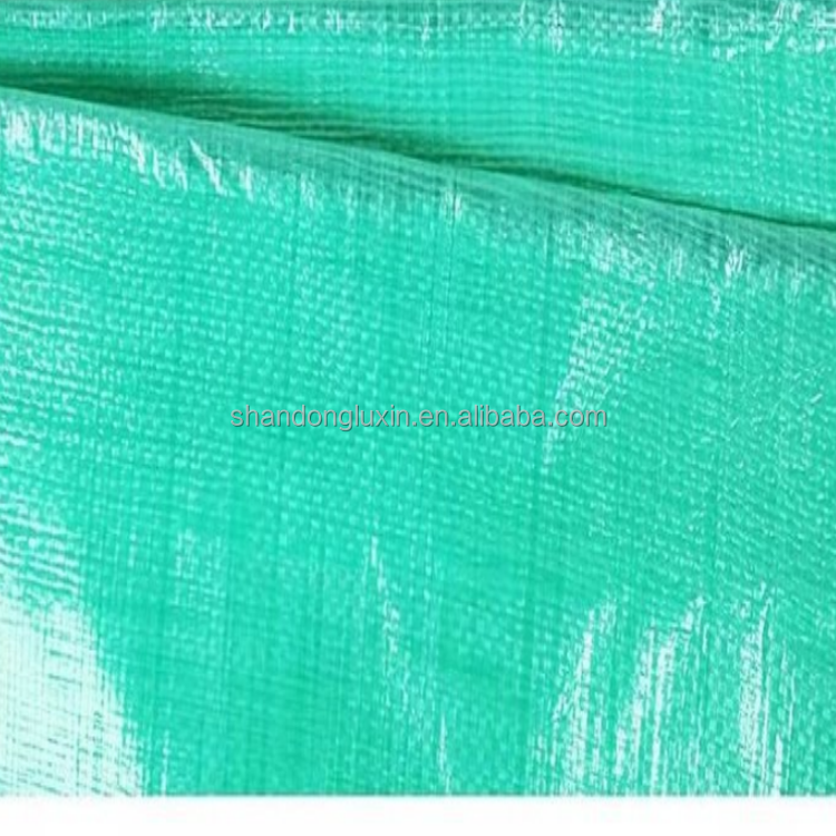 Outdoor Protection Made Easy with Fire Retardant Blue PE Tarpaulin Other Fabric Options