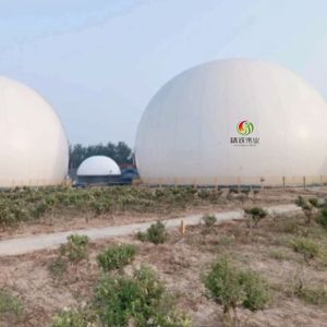 Customized Round Double Membrane Biogas Holder With Long Lifespan
