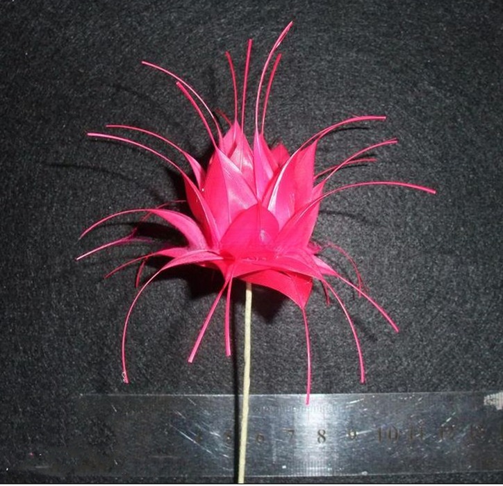Get Your Goose Feather Flower Mount Shipped with DHL UPS FEDEX EMS TNT
