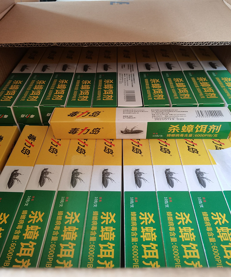 Non Drug Cockroach Paste Tube Poison Gel for Toilet Periplaneta Fuliginosa