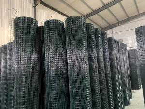 China Woven 1 X 1 Galvanized Welded Wire Mesh For Bird Cage / Rabbit Cage / Animal Cage on sale