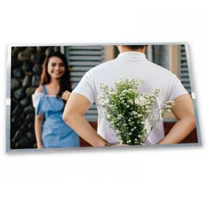  2.0-Inch WLED TFT WLED TFT LCD Display Module TM020GDH43 146*220 Resolution Specific Application ODM Supp Manufactures