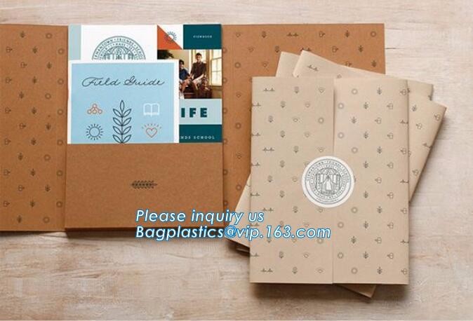Flower carrier bag with different color customized pot plants kraft paper bag with handle,stamping logo fancy paper flow