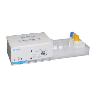 Tumor Marker SCC Squamous Cell Carcinoma Antigen for Fully Automatic Immunoassay Analyzer IVD Reagents 100T/box,24T/box