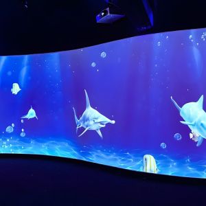 AR Interactive Wall 3d Immersive Room Holographic Wall Projection Game