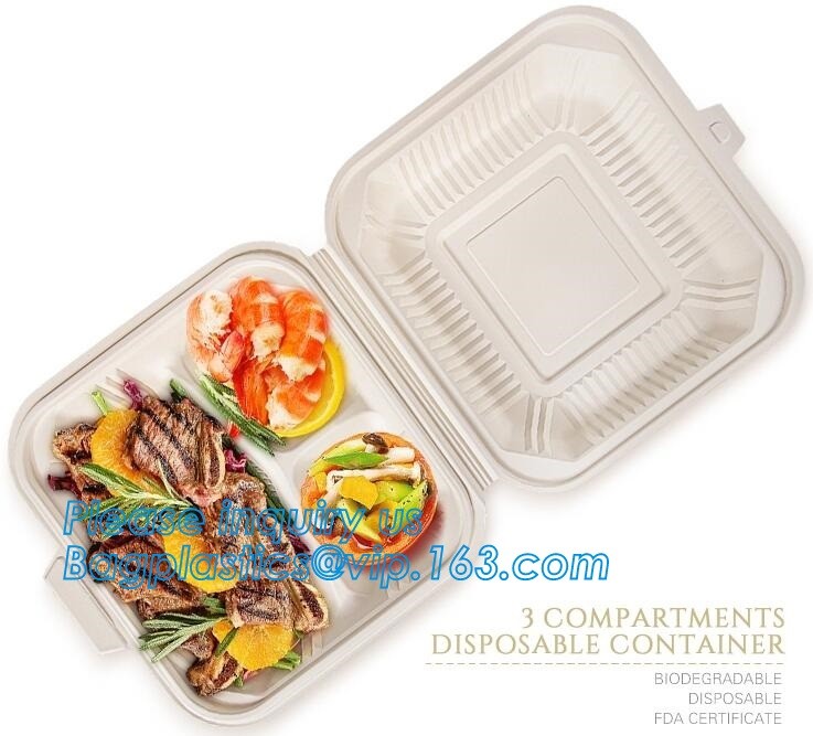 Meal Prep Containers Free Sample Bento Lunch Box Biodegradable Food Container Plastic Wheat Straw Lunch Box bagplastics