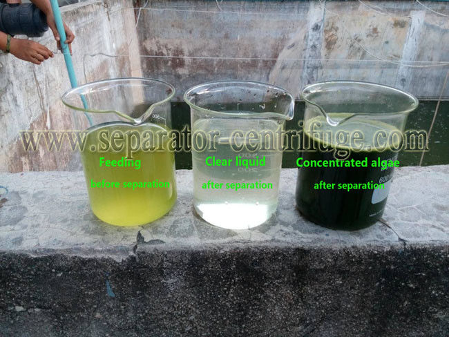 Automatic Centrifuge Filter System Microalgae Dewatering Centrifuge Oil Filters