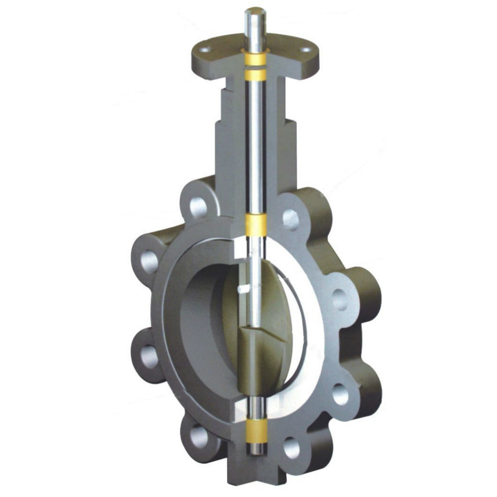 2 inch ductile iron fully Lug style type butterfly valve manufacturer