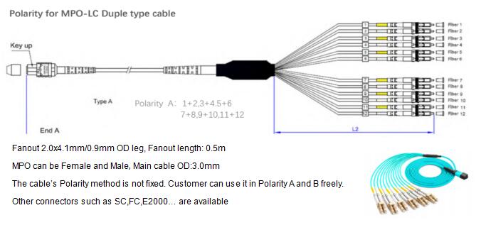 12 Fibers MPO to LC OM4 Fiber Optic MPO-LC 2.0mm Straight harness Cables