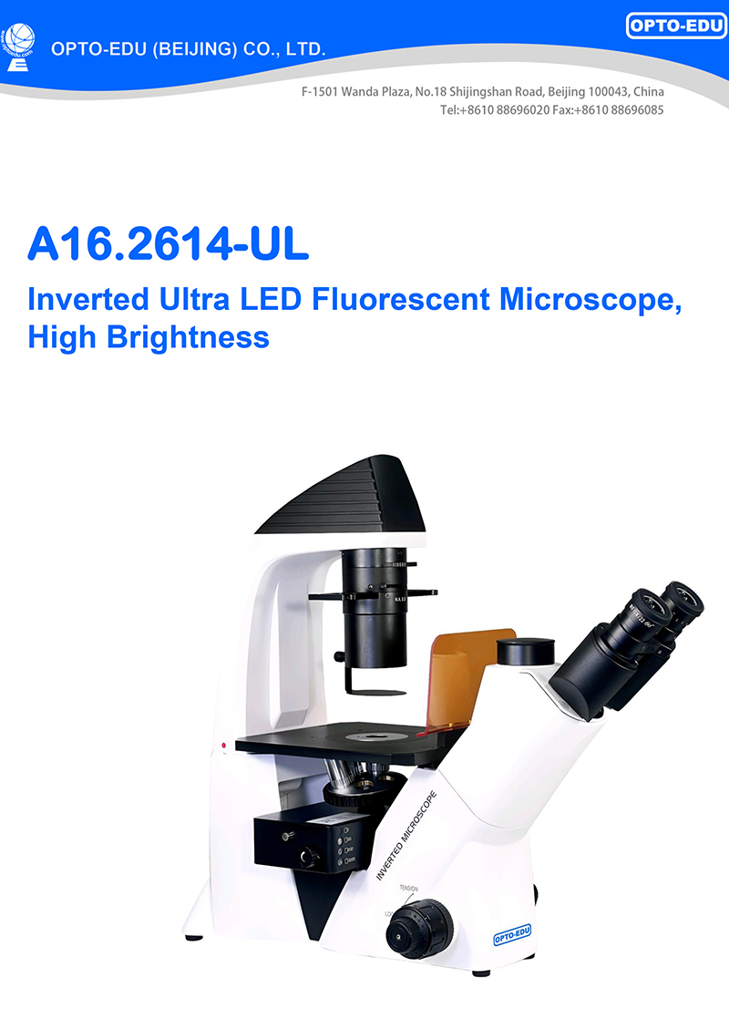 OPTO-EDU A16.2614-UL China Supplier High Brightness Inverted Ultra LED Fluorescent Microscope Price