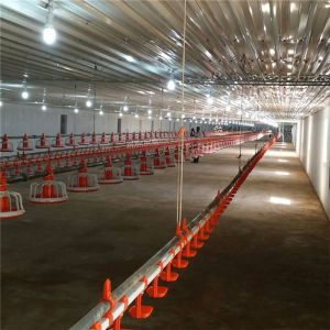 China Water Nipple Drinker Chicken Feeder on sale